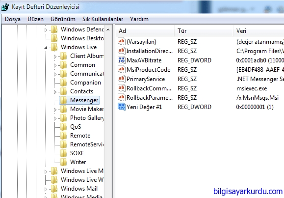 Programsız Çoklu MSN Açma
