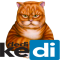 KediDedi avatarı