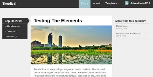 20+ Ücretsiz ve Ücretli Kişisel Wordpress Teması