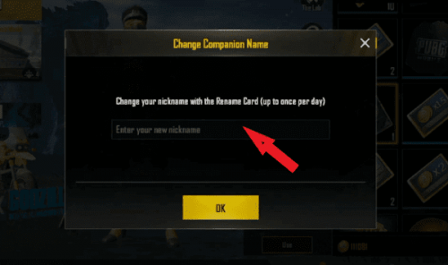 PUBG Şekilli Nick Yazma